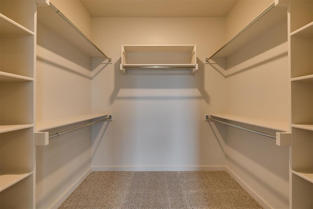 spacious closet featuring carpet