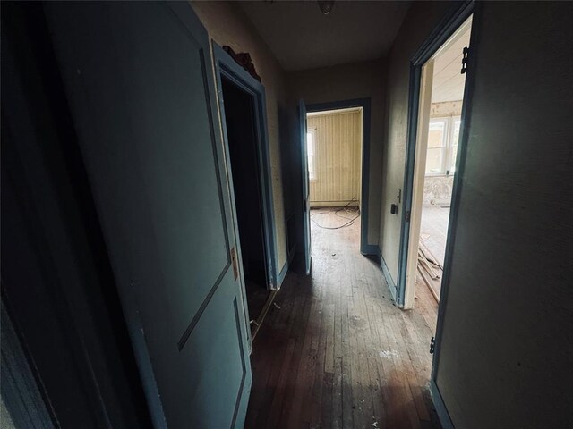 hallway with dark wood-type flooring