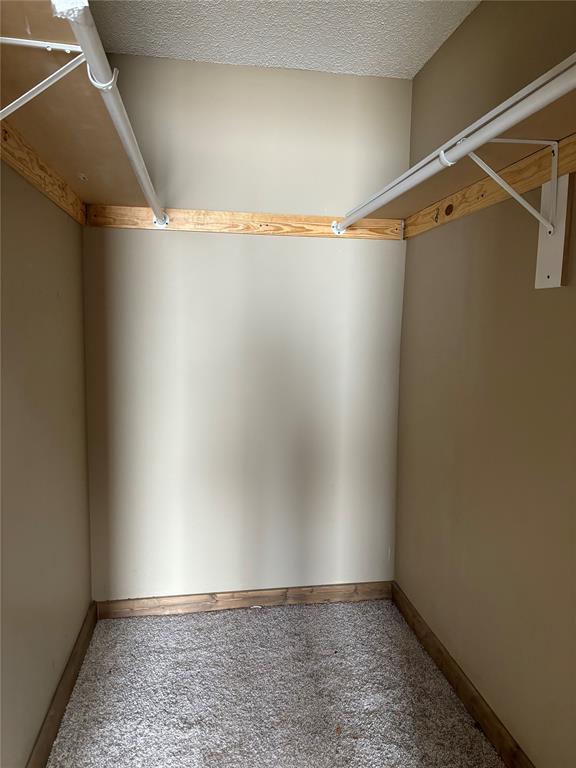 walk in closet featuring carpet floors