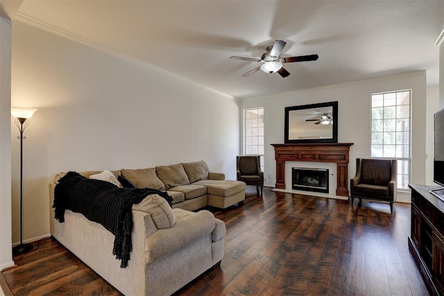 living room featuring crown molding and dark wood-type flooring