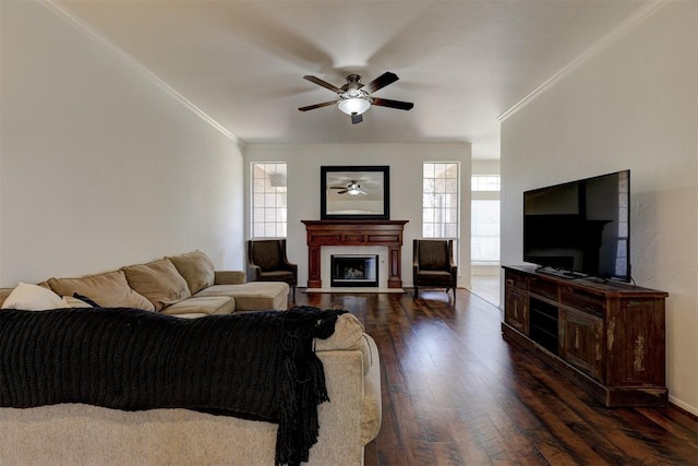 living room featuring ceiling fan, dark hardwood / wood-style floors, and ornamental molding