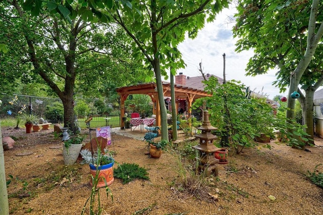 view of yard featuring a patio and a pergola