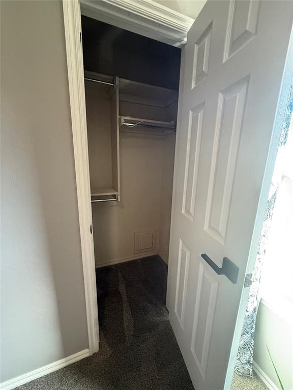 view of closet