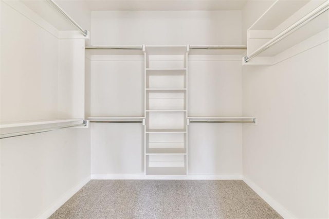 walk in closet featuring light colored carpet