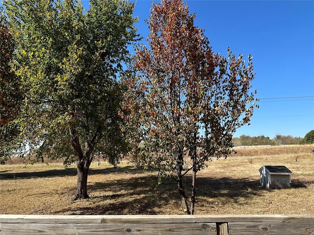 view of yard with a rural view