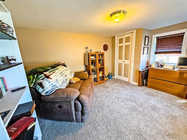 sitting room featuring carpet