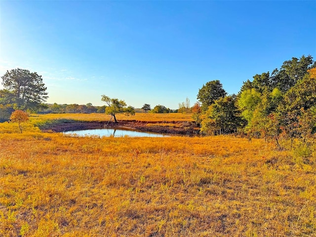 view of local wilderness featuring a water view