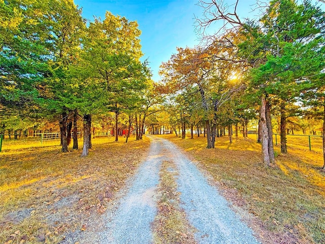 view of road