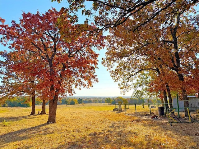 view of yard with a rural view