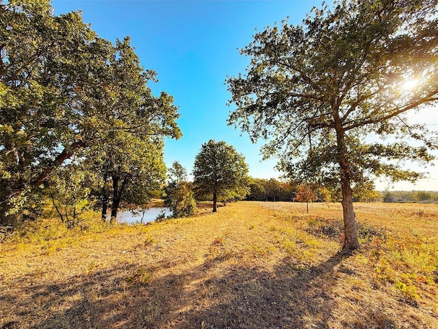 view of yard with a rural view