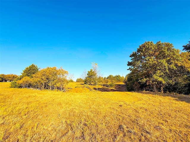 view of yard with a rural view