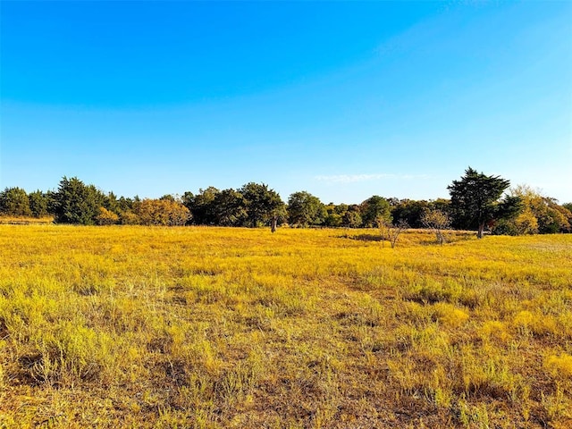 view of nature featuring a rural view