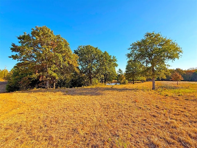 view of yard featuring a rural view