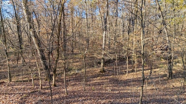 view of local wilderness