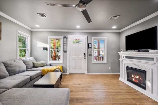 living room with crown molding, ceiling fan, and light hardwood / wood-style floors