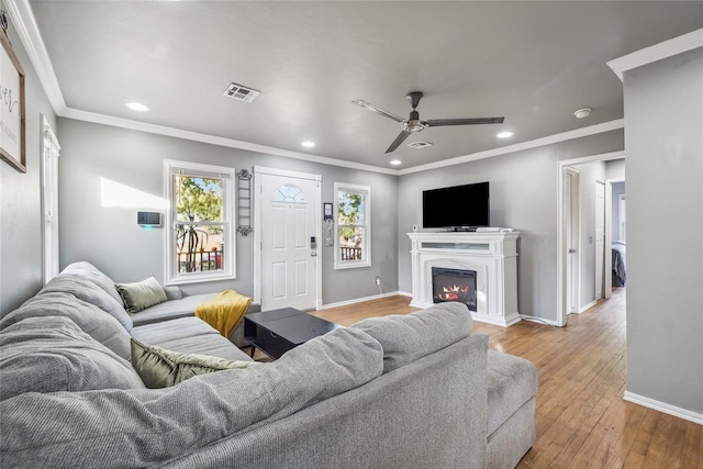 living room with crown molding, ceiling fan, and light wood-type flooring