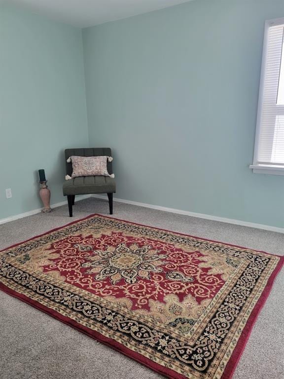 sitting room with carpet flooring