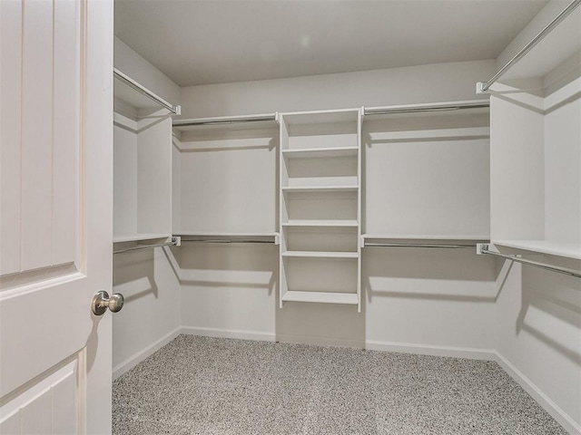 spacious closet with light carpet