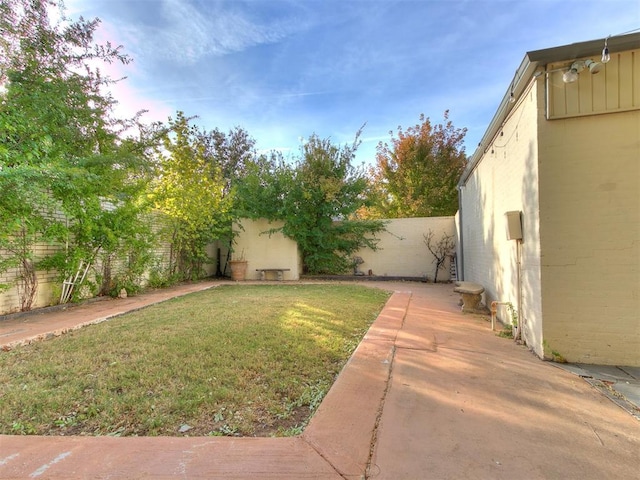 view of yard with a patio