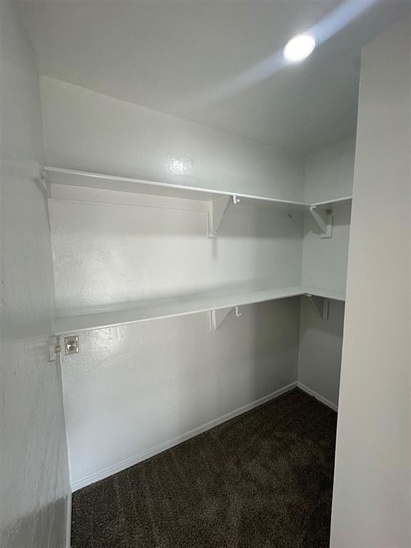 spacious closet with dark colored carpet