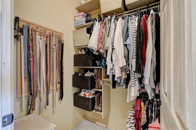 view of spacious closet