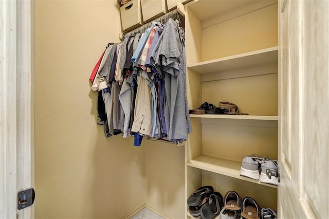 view of spacious closet