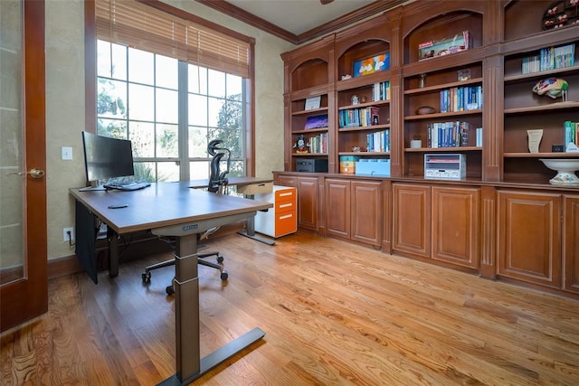 office with crown molding and light hardwood / wood-style flooring