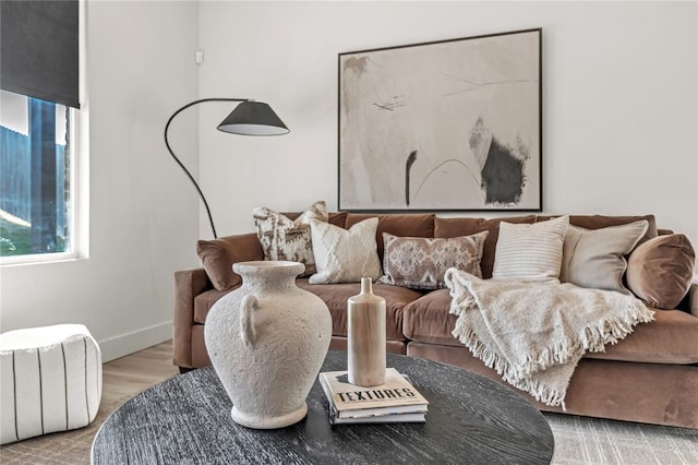 living room featuring light hardwood / wood-style floors