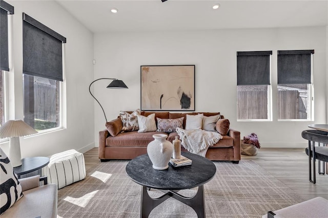 living room featuring light wood-type flooring