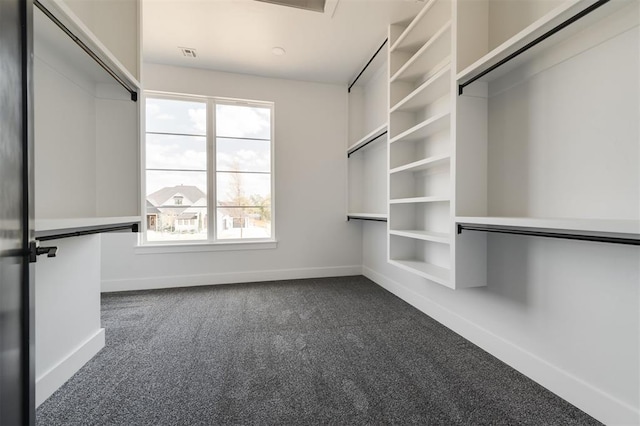 walk in closet with dark carpet