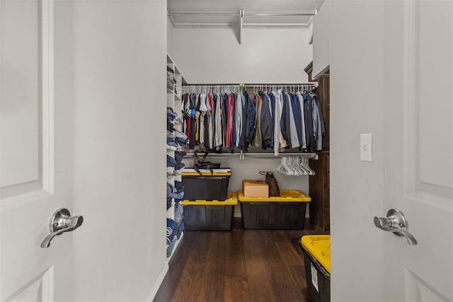 walk in closet with dark hardwood / wood-style flooring