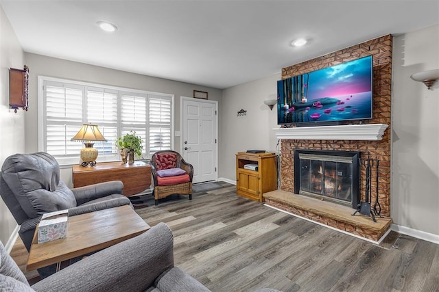 living room with a fireplace and wood-type flooring