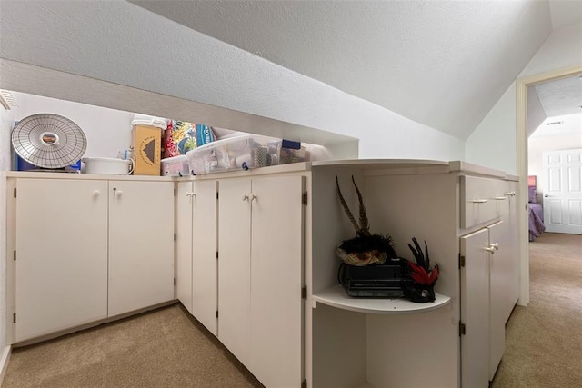 laundry area with a textured ceiling and light colored carpet