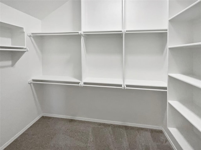 spacious closet with dark colored carpet