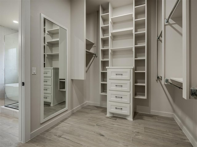 walk in closet featuring light hardwood / wood-style flooring