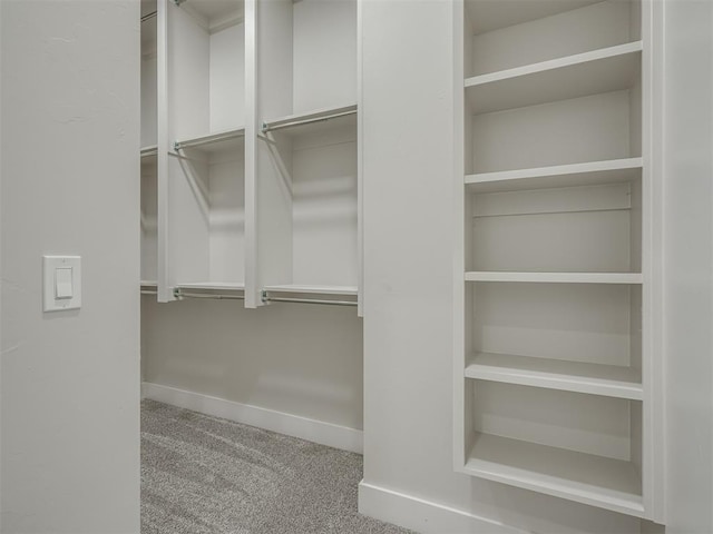 walk in closet featuring carpet flooring