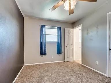 unfurnished room featuring carpet and ceiling fan