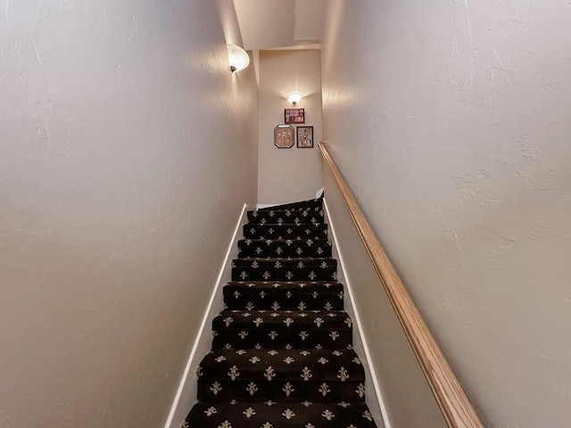 stairway featuring carpet flooring