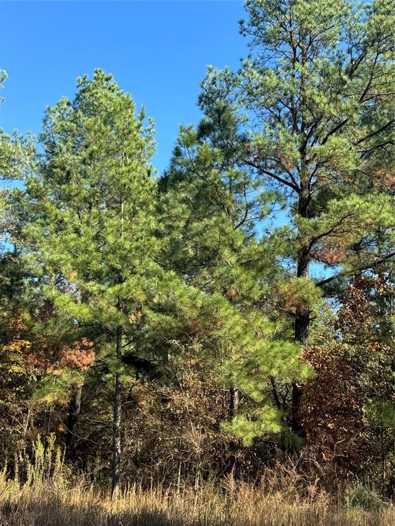 205 Bear Cedar Trl, Broken Bow OK, 74728 land for sale