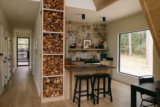 bar featuring light hardwood / wood-style floors