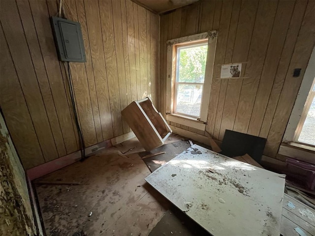 misc room with wood walls and electric panel