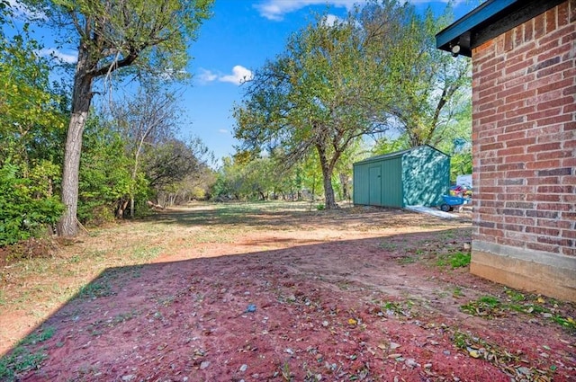 view of yard with a storage unit