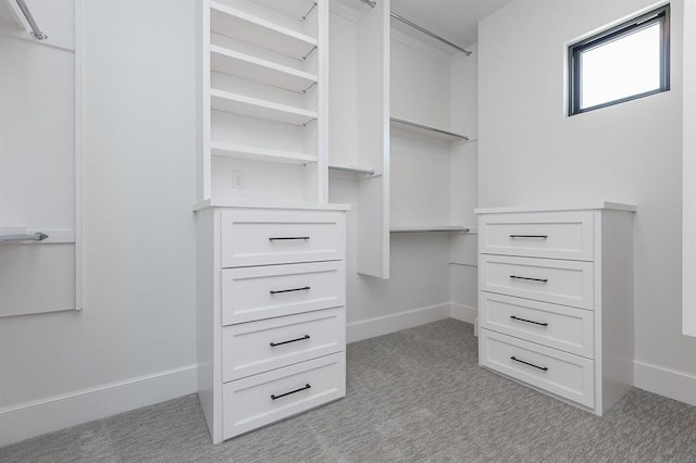 spacious closet with light carpet