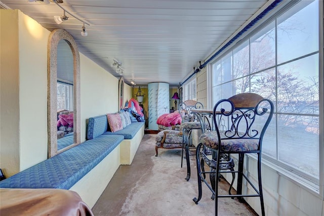 sunroom featuring rail lighting