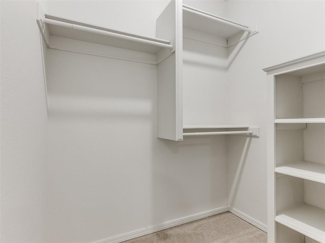 walk in closet with light colored carpet