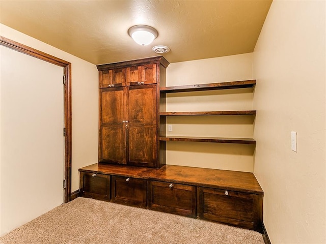 mudroom featuring carpet floors and visible vents