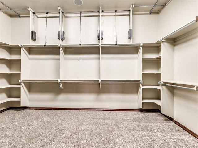 walk in closet with carpet floors