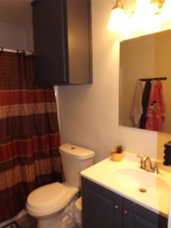 bathroom with vanity and toilet