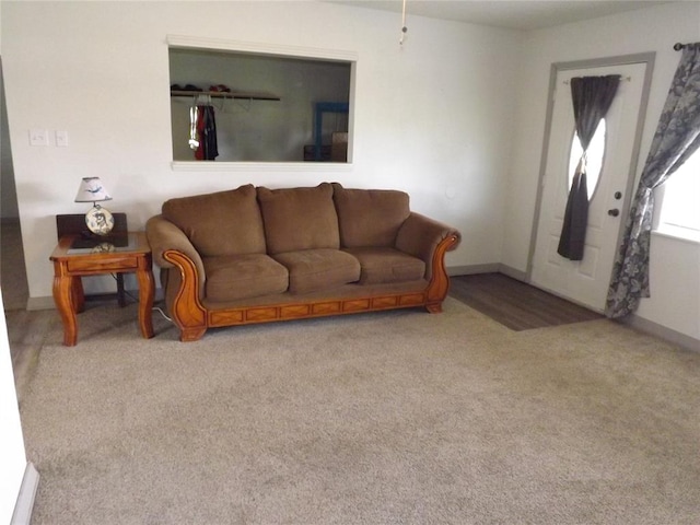 living room with carpet