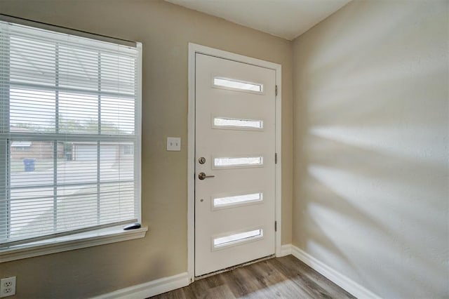 foyer entrance featuring wood-type flooring and a wealth of natural light